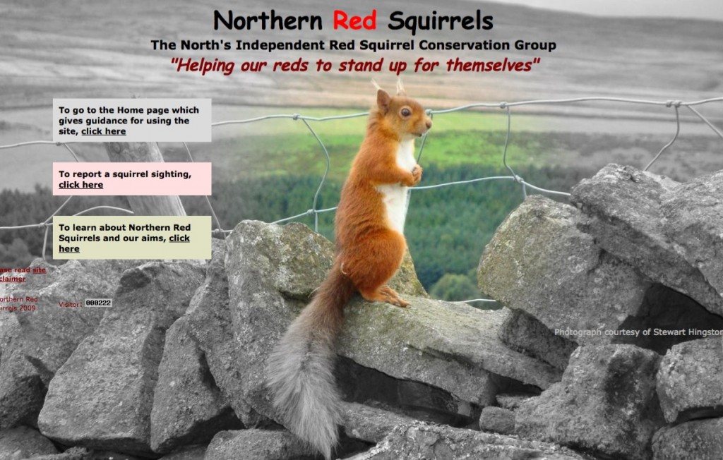 http://www.northernredsquirrels.org.uk./