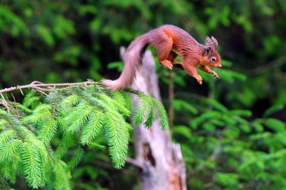 Another beautiful Owen Humphreys image, from the Guardian