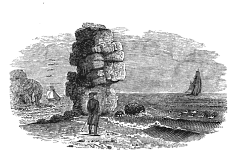 Image from Thomas Bewick's Memoir