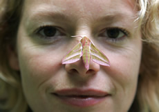 Kate With Insect National Insect Week – RENATURED